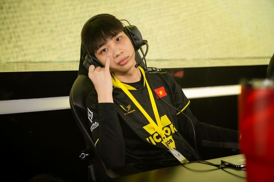 Tuyển Thủ Esports Việt Nam